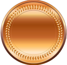 Bronze Medal Bronze Medal Gold Medal PNG - Free Download-fotor-bg-remover-2025011101336